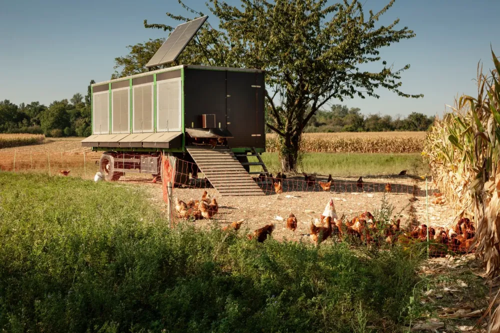 Vente producteur à Chevanceaux